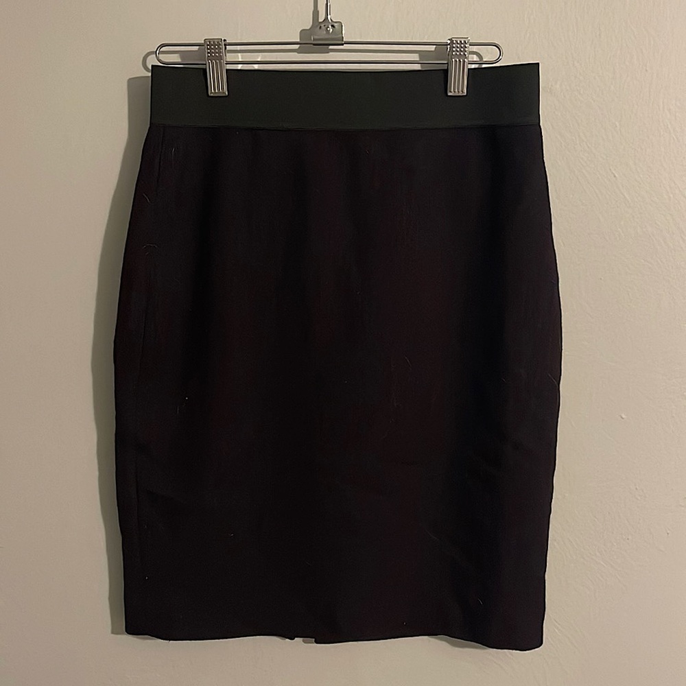Express Pencil Skirt